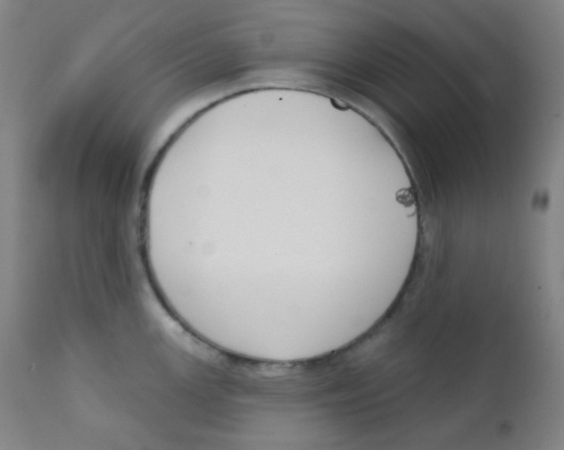 X0000111611147200908141247