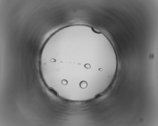 X0000111611149200908141247