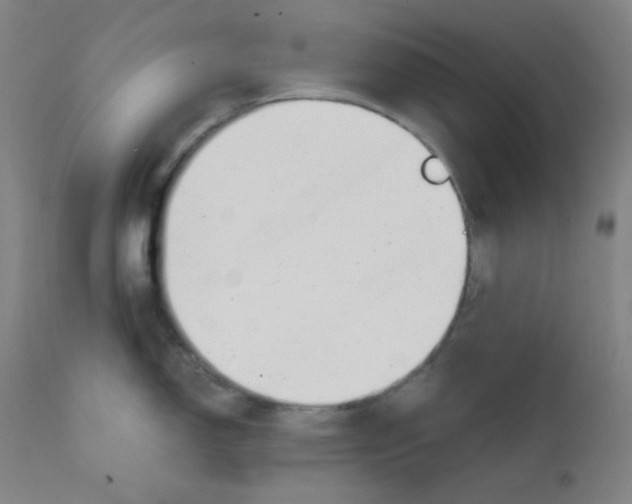 X0000111611150200908141247