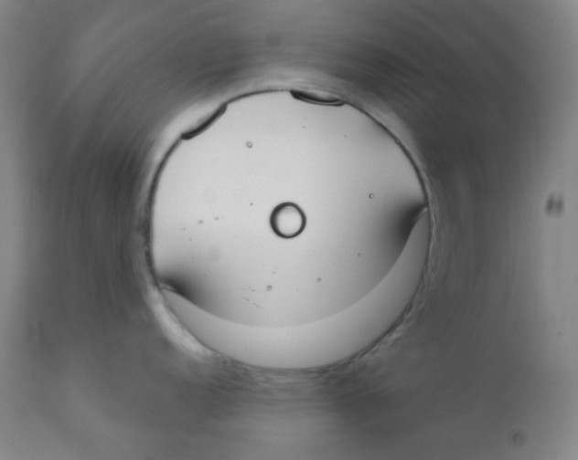 X0000111611152200908141247