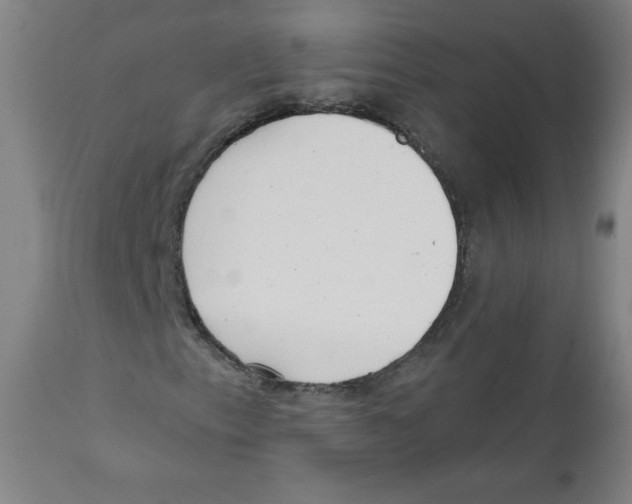 X0000111611153200908141247