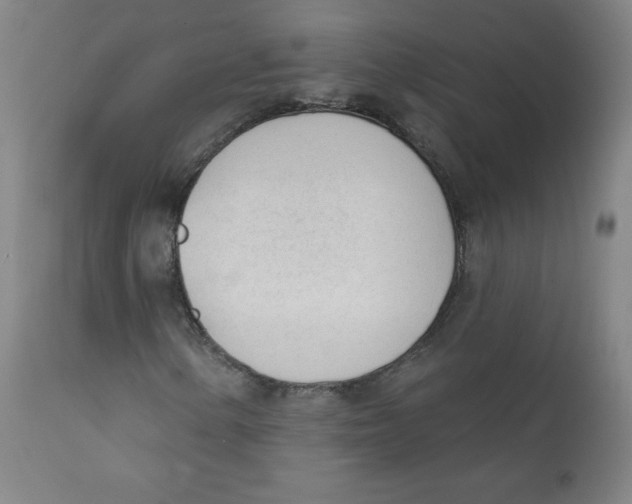 X0000111611154200908141247