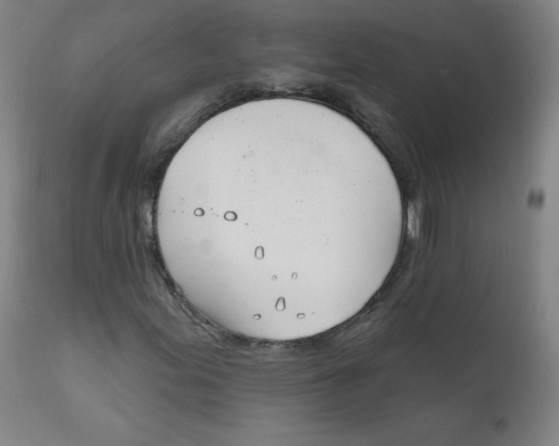 X0000111611155200908141247