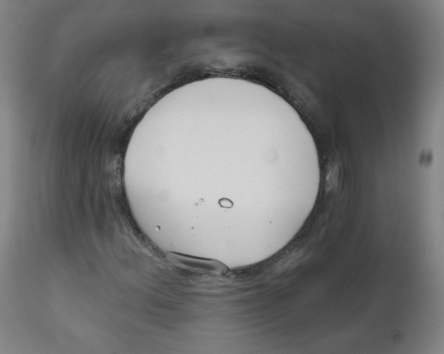 X0000111611156200908141247