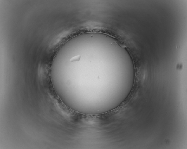 X0000111611157200908141247