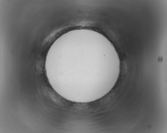 X0000111611158200908141247