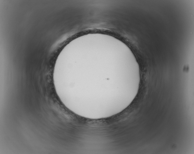 X0000111611159200908141247