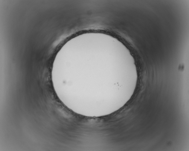 X0000111611160200908141247