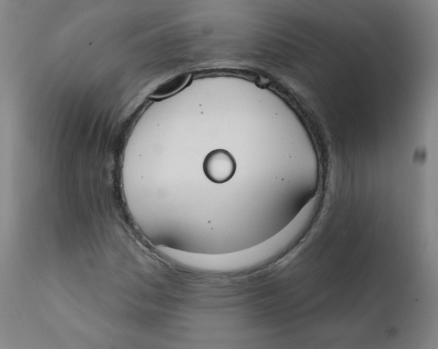 X0000111611161200908141247