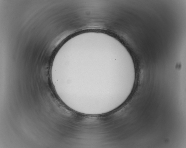 X0000111611162200908141247
