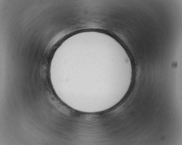 X0000111611163200908141247