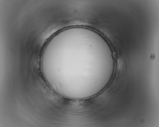 X0000111611165200908141247
