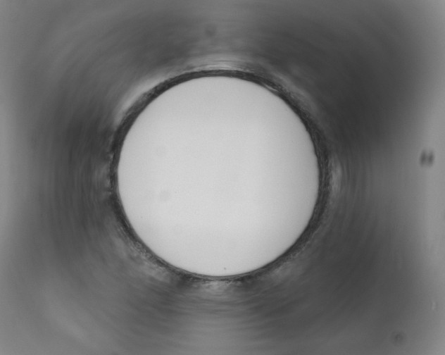 X0000111611166200908141247