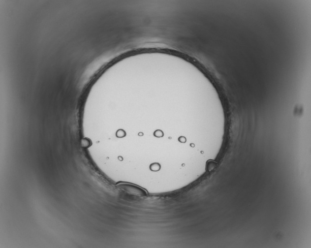 X0000111611167200908141247