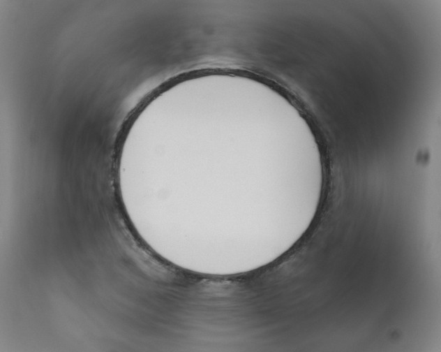 X0000111611168200908141247