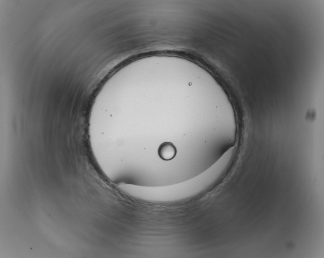 X0000111611169200908141247