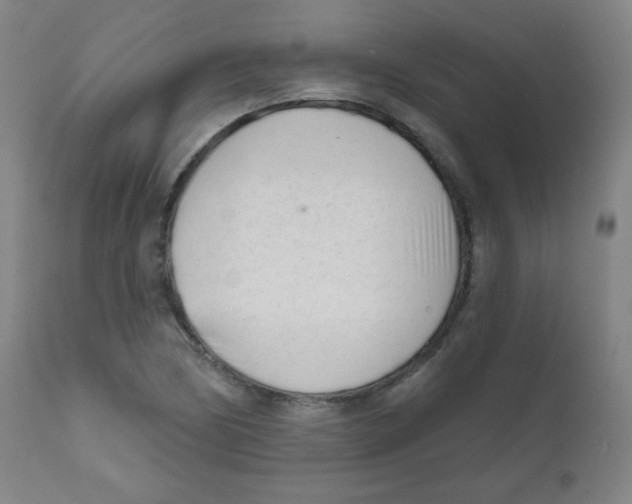 X0000111611170200908141247