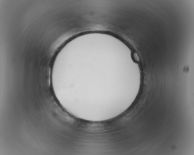 X0000111611171200908141247