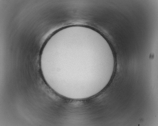 X0000111611174200908141247