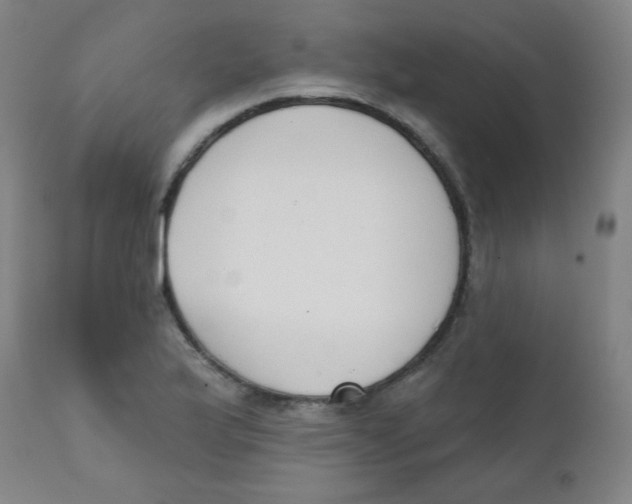 X0000111611175200908141247