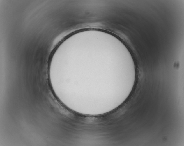 X0000111611176200908141246