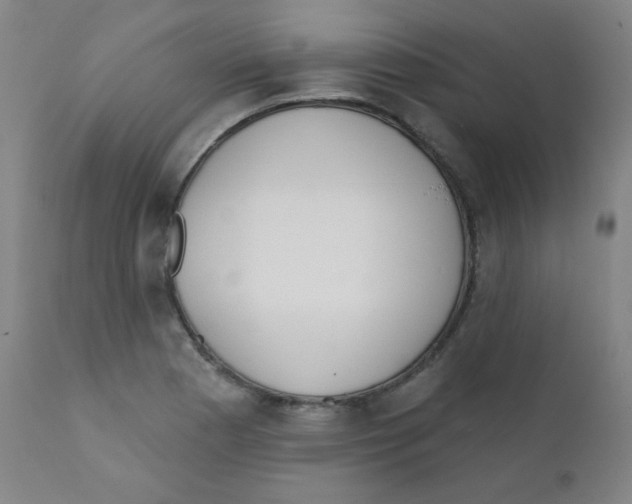 X0000111611177200908141246