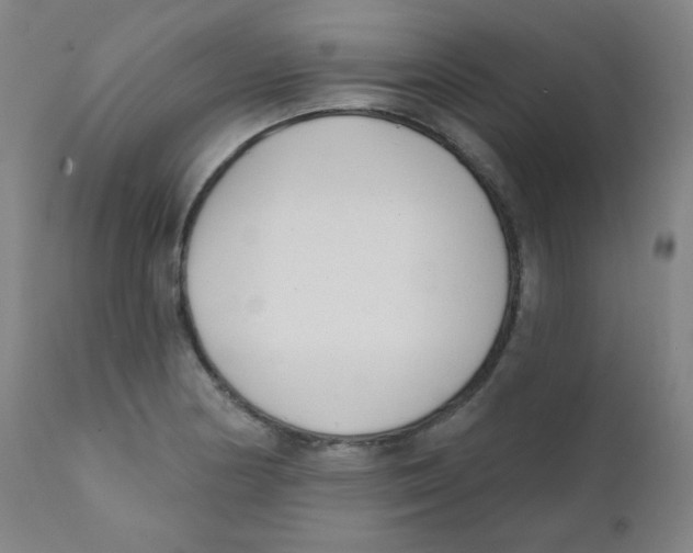 X0000111611178200908141246
