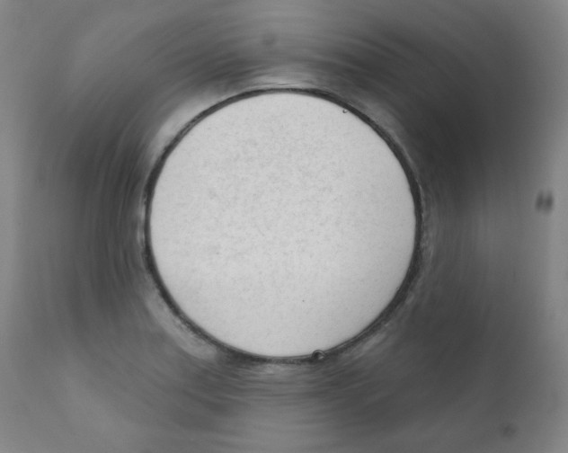 X0000111611179200908141246
