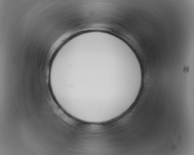 X0000111611180200908141246