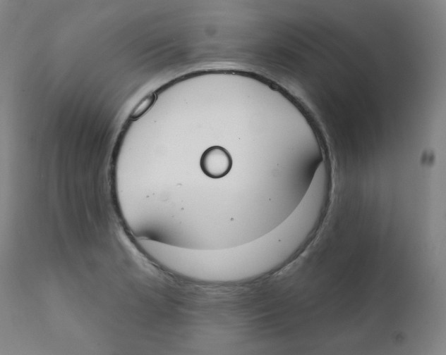 X0000111611181200908141246