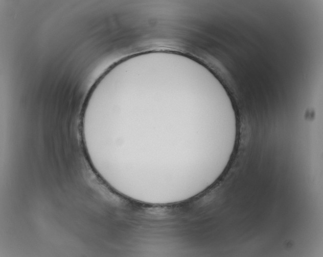 X0000111611182200908141246