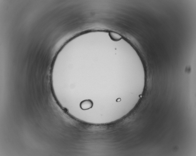 X0000111611183200908141246
