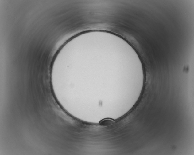 X0000111611184200908141246