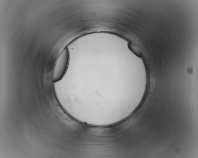 X0000111611185200908141246