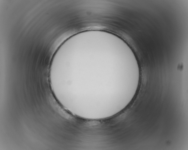 X0000111611186200908141246