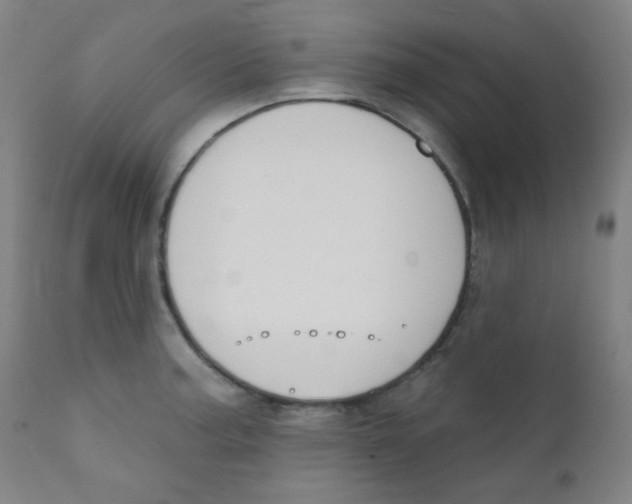 X0000111611187200908141246