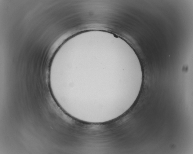 X0000111611188200908141246