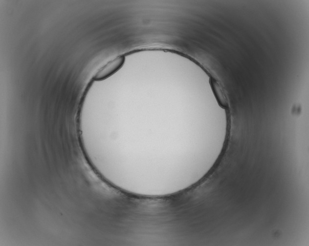X0000111611189200908141246