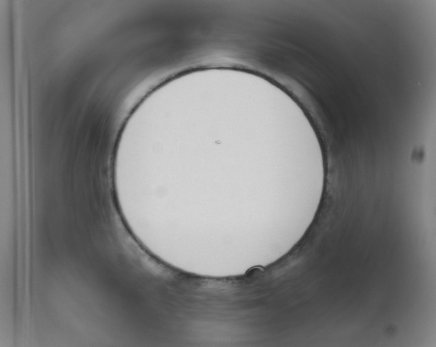 X0000111611191200908141246