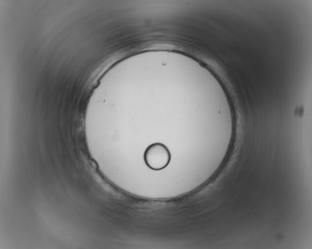X0000111611193200908141246