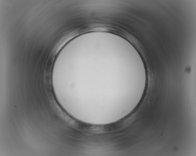 X0000111611194200908141246