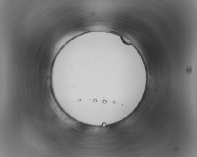 X0000111611195200908141246