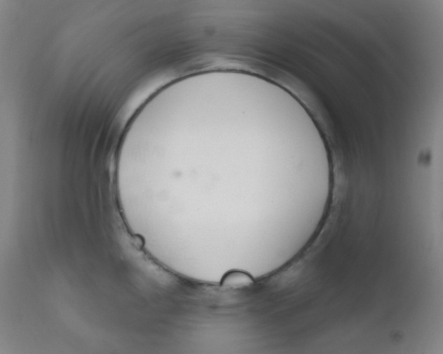 X0000111611198200908141246