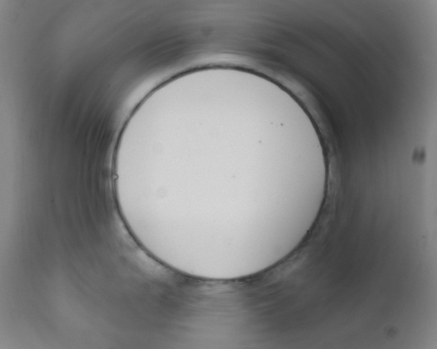X0000111611199200908141246