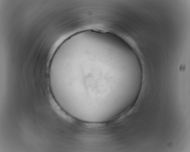 X0000111611200200908141246