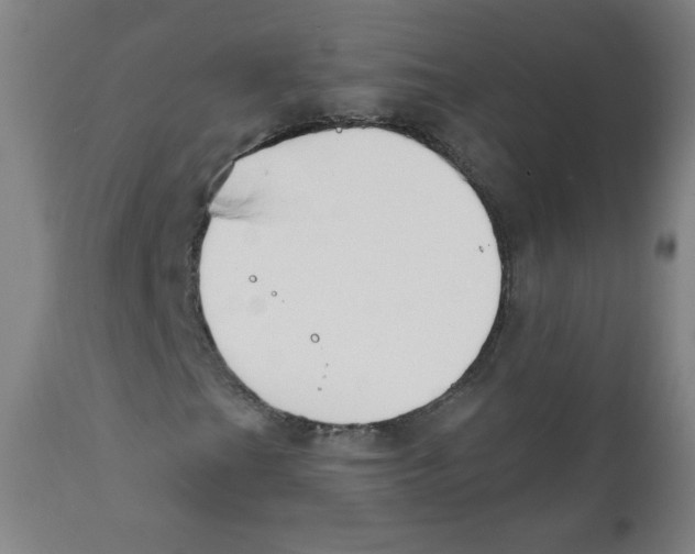 X0000111611201200908141246