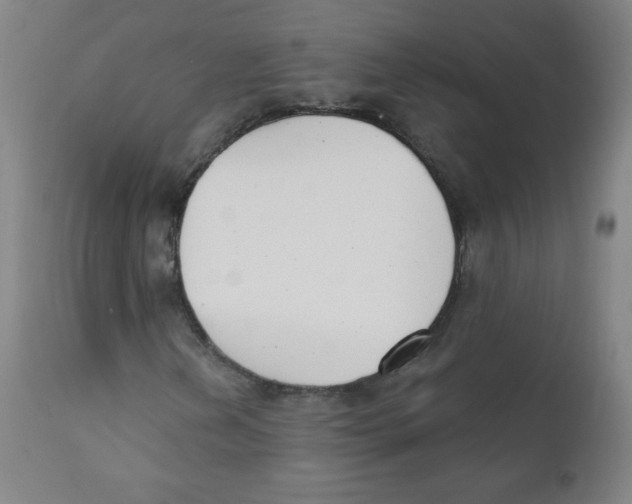 X0000111611202200908141246