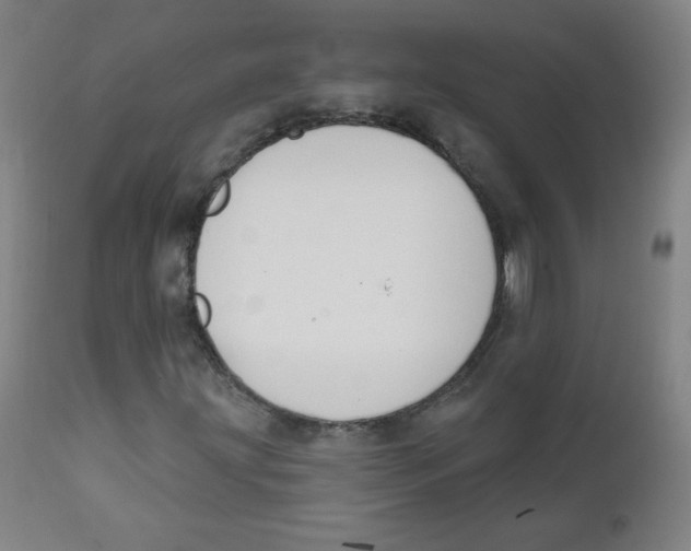 X0000111611203200908141246