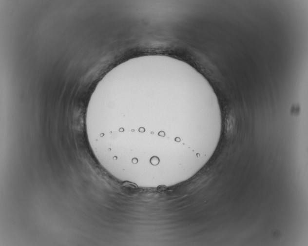 X0000111611204200908141246
