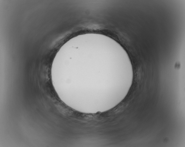X0000111611205200908141246